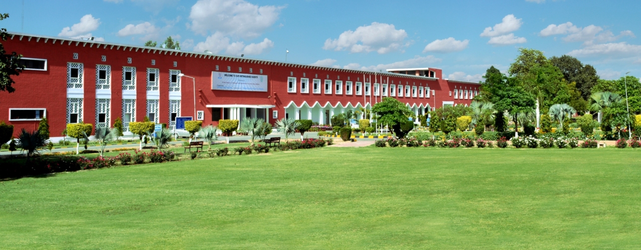 Four NTU Faisalabad Faculty Members Ranked Among World’s Top 2% Scientist