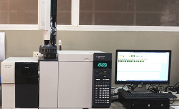 Gas Chromatography Mass Spectrometer